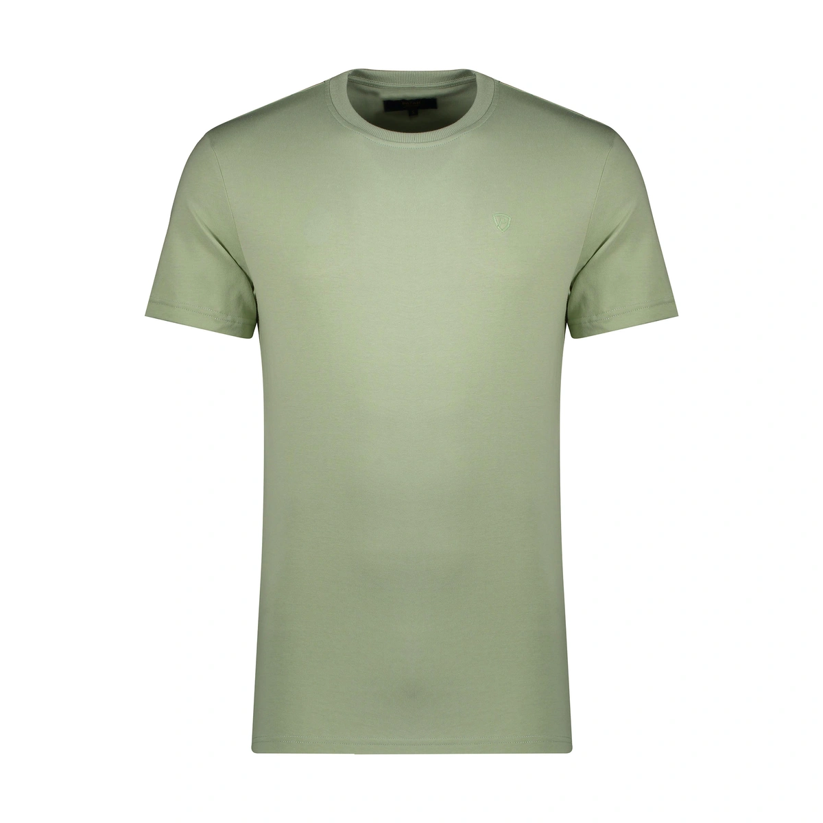 تیشرت آستین کوتاه ساده رنگ سبز روشن مدل معمولی تولید پاتن جامه. 