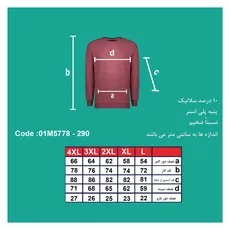 تیشرت آستین رگلان مردانه