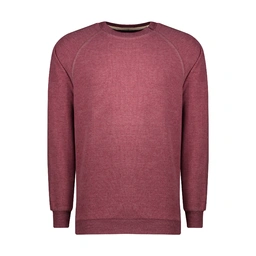 سویشرت آستین رگلان قرمز روشن مردانه تولید پاتن جامه می باشد. جنس پارچه سلانیک پلی استر پنبه می باشد.