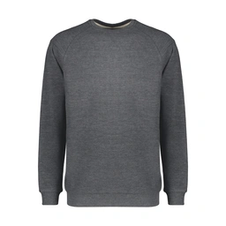 تیشرت آستین بلند مردانه یقه گرد تولید پاتن جامه می باشد. جنس پارچه صد در صد پنبه سلانیک می باشد. پار